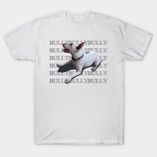 BULLYBULLYBULLY T-Shirt